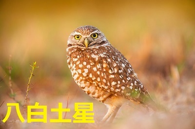 ”Є”’“yђЇ